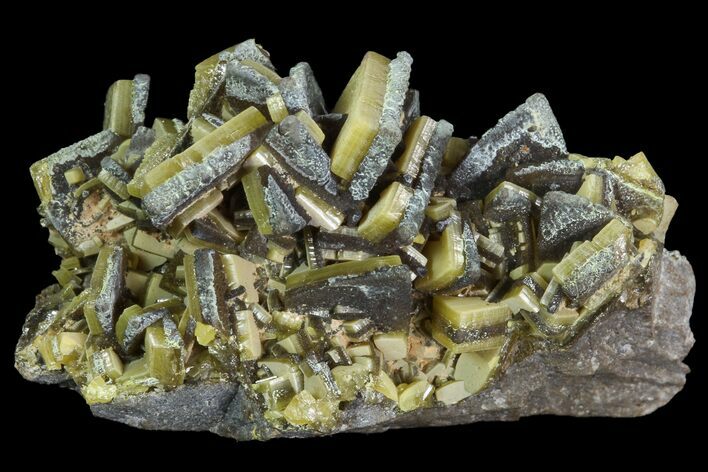 Sandwich Wulfenite Crystal Cluster - Ojuela Mine, Mexico #103498